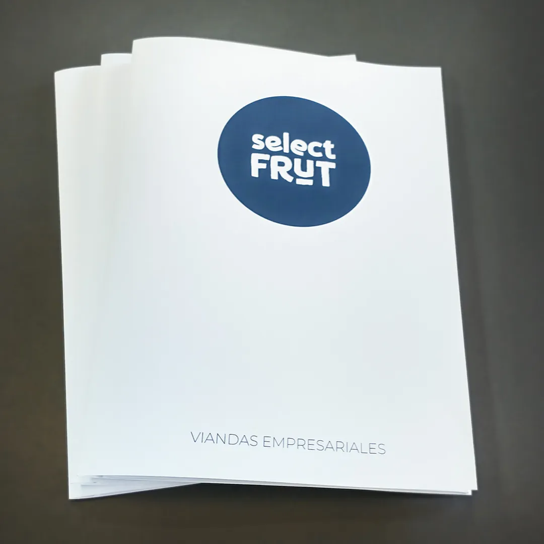 CARPETAS INSTITUCIONALES